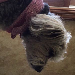 Meet your Posher, Marilyn